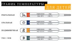 Какая температура является нормальной у взрослых и детей?